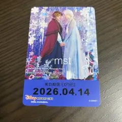 ディズニー リゾートライン フリーきっぷ イマジニングザマジック アナ エルサ③