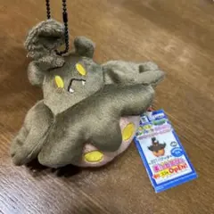 希少　ポケモンコレクション ぬいぐるみ バケッチャ ボールチェーン2014 廃盤