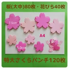 Item thumbnail for item ccfd7883-5199-477b-b3e5-c969e093c099