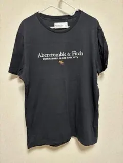 アバクロ　Tシャツ