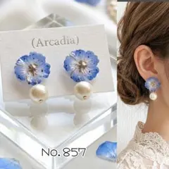 3点目以降半額★No857 ネモフィラ パール ハンドメイド ピアス イヤリング