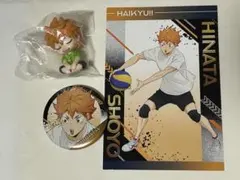 ハイキュー‼︎ 日向翔陽　肩ズンFig. 疑似ユース