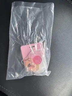 ズートピア　ブリスターチャームコレクション　アイスキャンディ