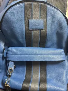 2026年最新】COACH カラー：ブルー系 メンズ リュック・バックパックの