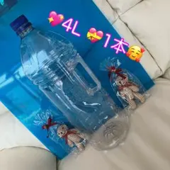4L取手付き空ペットボトル❤️1本✳️500円玉貯金も❤️