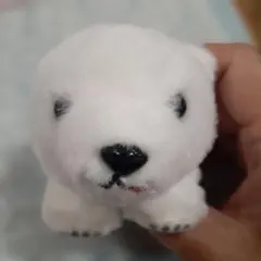 シロクマ ぬいぐるみ ボールチェーン付きのサムネイル