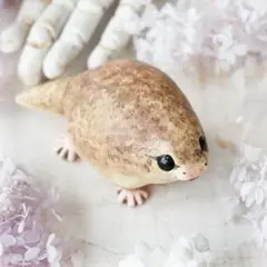 海福雑貨♡ヤモノコ