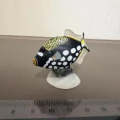 原色海水魚図鑑モンガラカワハギ