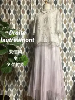 Droite lautreamont オーガンジー プリーツ ロングスカートのサムネイル