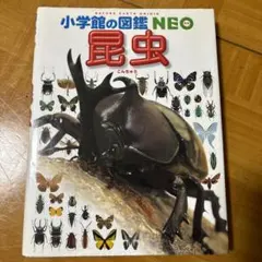 Item thumbnail for item 063fb687-9461-43f9-a599-2a56f3676519