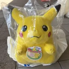 ポケモン 30周年記念 おかえり!ピカチュウ1/1