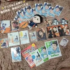 【即購入⭕/匿名発送】ハイキュー!! 澤村大地セット クロニクル、ぬいぐるみなど