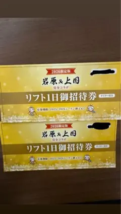 ⭐︎上国⭐︎岩原⭐︎共通1日リフト券 2026年最新】岩原 上国 リフト券の人気アイテム - メルカリ