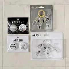 嵐 展覧会 ジッパーバッグ ポーチ 缶バッジ アクリルキーチェーン