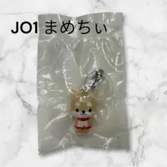 JOCHUM めじるしアクセサリー　まめちぃ