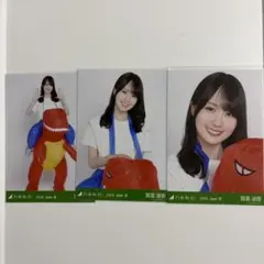 乃木坂46 賀喜遥香 生写真 真夏の全国ツアー2026 福井 恐竜 コンプ