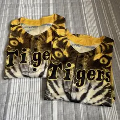 Item thumbnail for item 0e78cb38-a158-4231-ad7a-7dda7ee5c9e8