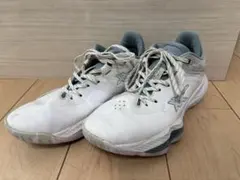 【値下げ】NOVA SURGE LOW / バスケットシューズ 28.5cm