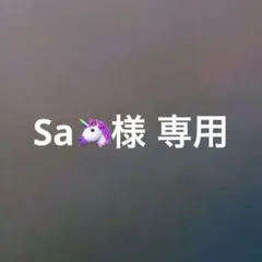 Sa様 専用出品のサムネイル