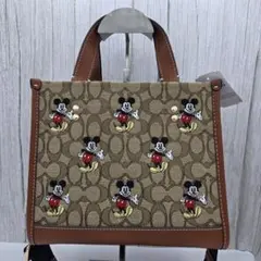 nocco.2525さん専用　COACH コーチ CM199 ディズニーコラボ