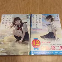 きみが明日、この世界から消えた後に ～Nanami's Story～