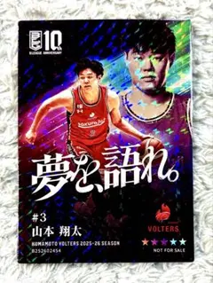 Item thumbnail for item 817e3816-1b34-4d75-959f-ebc2412496d1