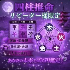 【リピーター様限定】 四柱推命 深掘り鑑定｜恋愛・仕事・今の運勢を解読