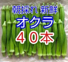朝採れ 新鮮 オクラ 40本のサムネイル
