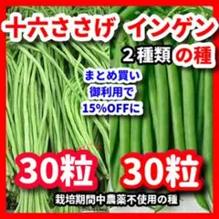 丽妮様 リクエスト 3点 まとめ商品