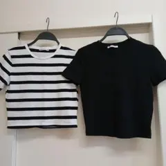 ZARA 半袖Tシャツ ストライプと黒 2点セット