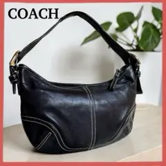 Coach Baguette Hampton accessory porch - メルカリ