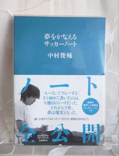 Item thumbnail for item 19c2d6f9-751c-49bc-ac79-91981883442d