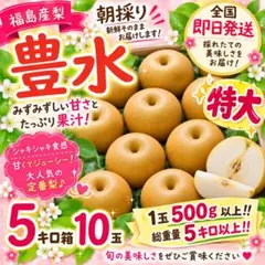 ⚠️kei♡様専用⚠️茨城県産 梨/恵水 秀品/3キロ 大玉 - メルカリ