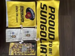 Item thumbnail for item 5c6d94c6-a29f-423f-bda9-d0eb4a5f0067