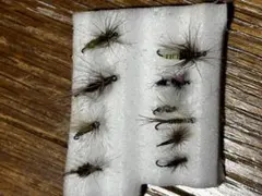 Item thumbnail for item 0983f312-34d9-4def-8bea-065f73b7050b