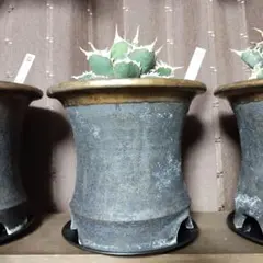 ☆メタルサラサ⭐様 リクエスト 2点 まとめ商品