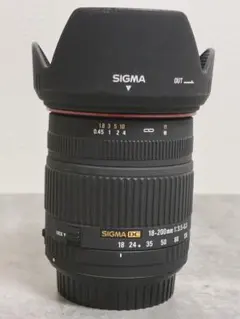 単焦点レンズ⭐️ポートレート⭐️ボケ味⭐️Canon EOS Kiss X9 EOS Kiss X9で失敗しない単焦点レンズ選び