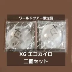 ポイント消化 XG XGALX ワルツ 限定 グッズ エコカイロ 2個セット