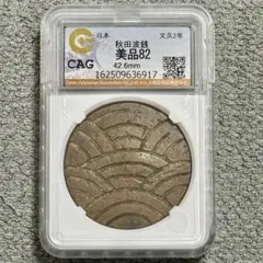1929年 ニカラグア 50セント 銀貨 NGC鑑定済 リオ・グランデの風景
