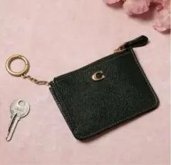 ま*ん様 COACH ミニ スキニー ID ケース 小銭入れ　グリーン