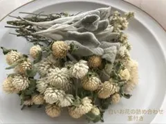 チコ様 リクエスト 2点 まとめ商品