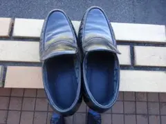 Item thumbnail for item 66c20fae-d18b-4a91-8b1c-06548f9eccf7