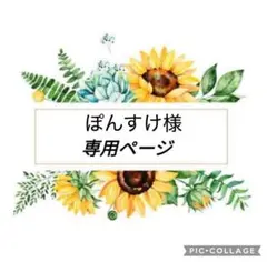 ぽんすけ様　専用ペイジ❣️
