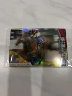 サラブレッドホースコレクションウエハース第3 ブレイディヴァーグ