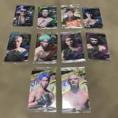 rizinウェハース カード10枚セット