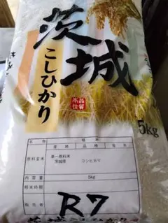 令和8年産 【中米】 魚沼産コシヒカリ 白米 20kg - メルカリ
