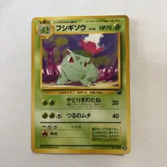 旧裏】フシギダネ「イントロパック」No.001センタリング参考画像付き
