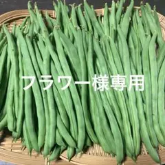 9/4 フラワー様専用