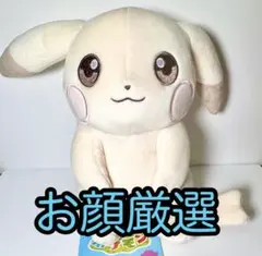 早い者勝ち‼️】 ぬいぐるみ ぽこ あ ポケモン ピカチュウ 2点セット