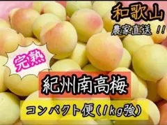 和歌山 紀州南高梅 完熟 コンパクト便のサムネイル